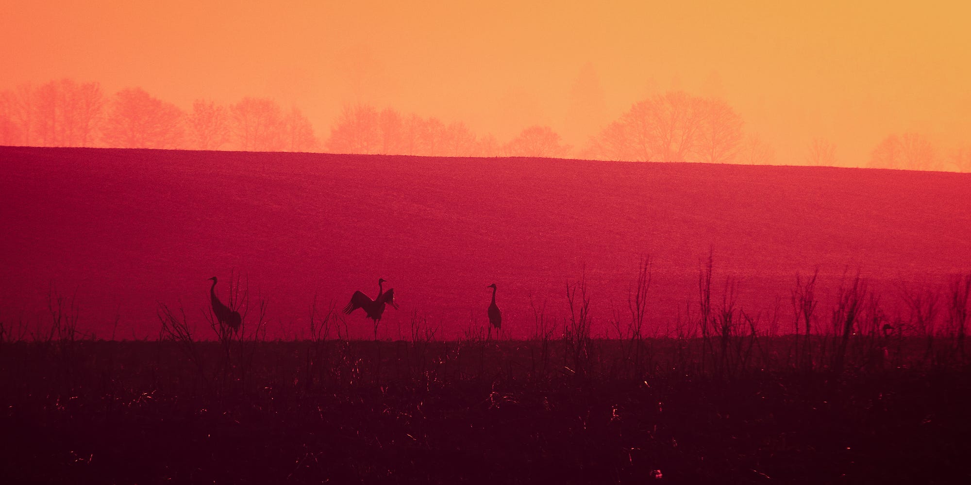 AndersonLin的個(gè)人主頁（背景預(yù)覽） - 主頁背景設(shè)置 - 站酷設(shè)計(jì)師AndersonLin原創(chuàng)素材 - 站酷ZCOOL