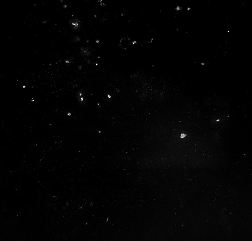 515206550的個人主頁（背景預(yù)覽） - 主頁背景設(shè)置 - 站酷設(shè)計師515206550原創(chuàng)素材 - 站酷ZCOOL