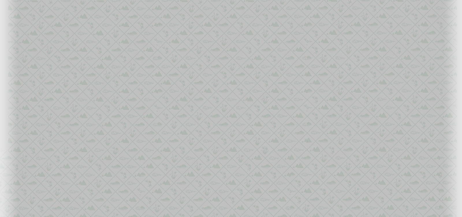 jinxiaofei的个人主页（背景预览） - 主页背景设置 - 站酷设计师jinxiaofei原创素材 - 站酷ZCOOL