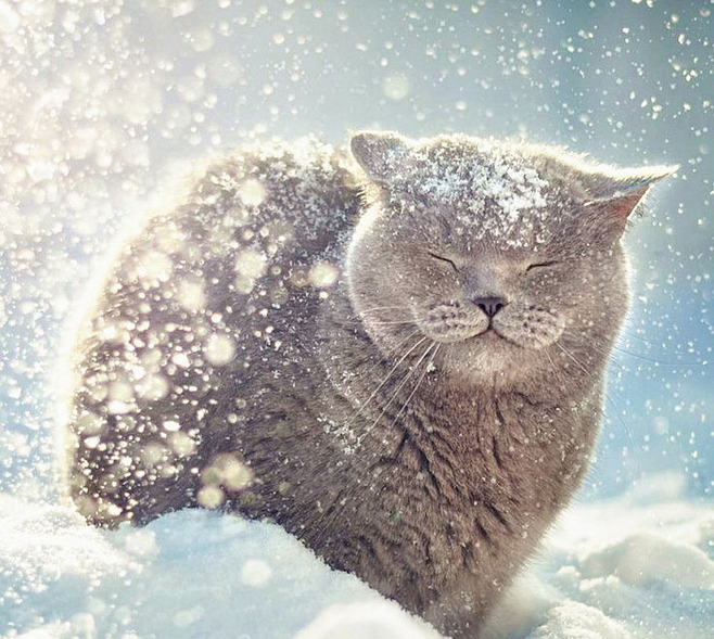 辰宇飛云的個(gè)人主頁（背景預(yù)覽） - 主頁背景設(shè)置 - 站酷設(shè)計(jì)師辰宇飛云原創(chuàng)素材 - 站酷ZCOOL