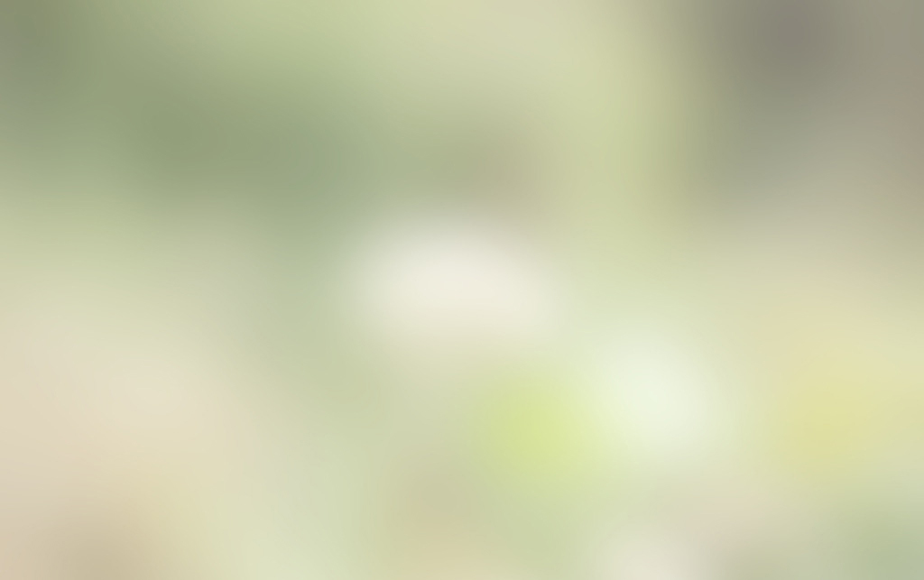 Cherry_H的个人主页（背景预览） - 主页背景设置 - 站酷设计师Cherry_H原创素材 - 站酷ZCOOL