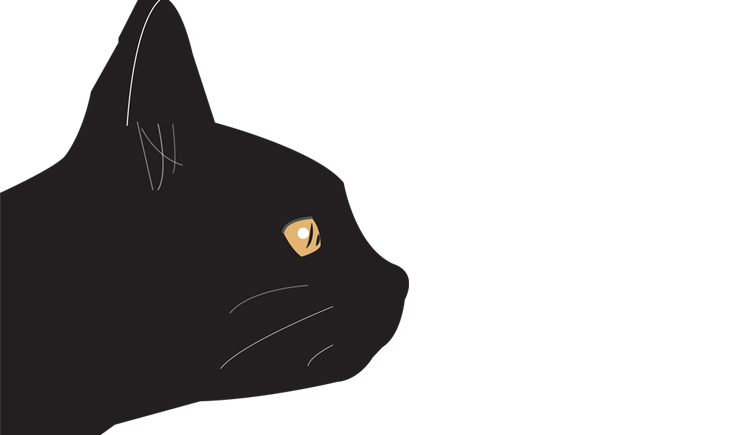 henryadmin的个人主页（背景预览） - 主页背景设置 - 站酷设计师henryadmin原创素材 - 站酷ZCOOL