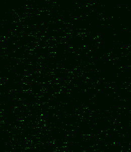 未生weisheng的个人主页（背景预览） - 主页背景设置 - 站酷设计师未生weisheng原创素材 - 站酷ZCOOL