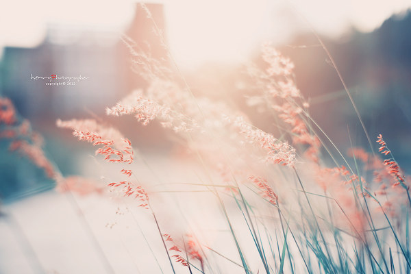 米糊x的個人主頁（背景預(yù)覽） - 主頁背景設(shè)置 - 站酷設(shè)計師米糊x原創(chuàng)素材 - 站酷ZCOOL