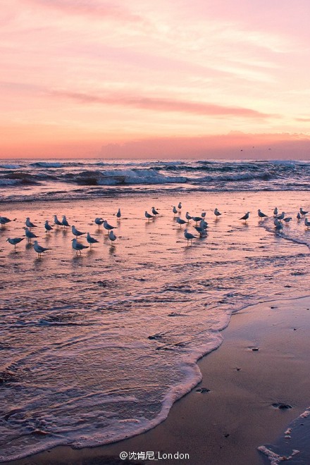 罗妮的大树的个人主页（背景预览） - 主页背景设置 - 站酷设计师罗妮的大树原创素材 - 站酷ZCOOL