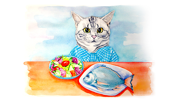 半素食主义的猫的个人主页（背景预览） - 主页背景设置 - 站酷设计师半素食主义的猫原创素材 - 站酷ZCOOL