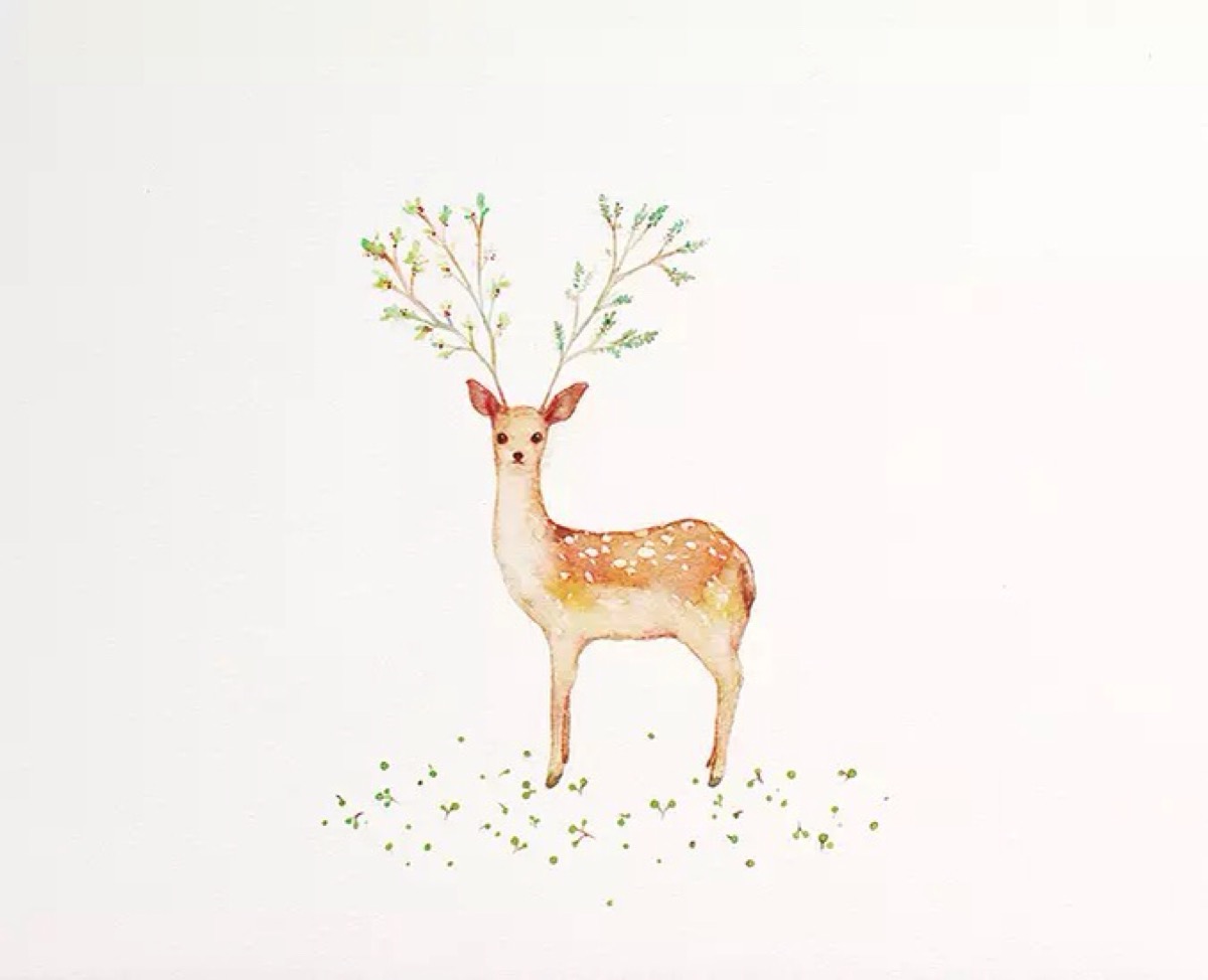 CHY_微風(fēng)不燥的個人主頁（背景預(yù)覽） - 主頁背景設(shè)置 - 站酷設(shè)計師CHY_微風(fēng)不燥原創(chuàng)素材 - 站酷ZCOOL