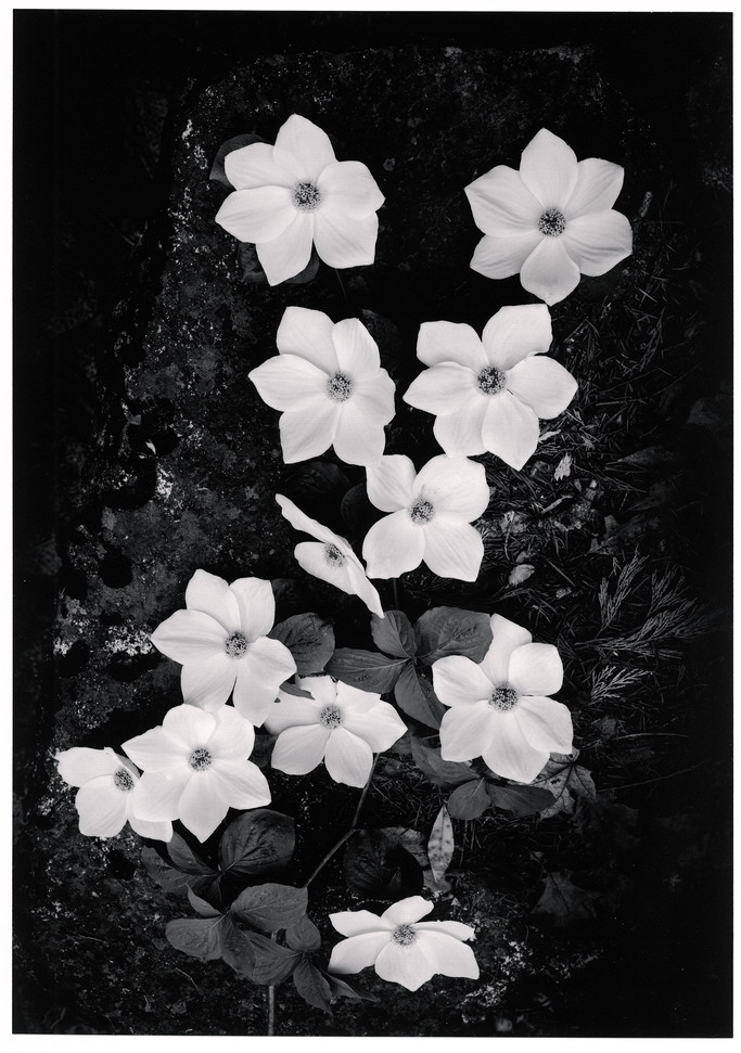 King0011的个人主页（背景预览） - 主页背景设置 - 站酷设计师King0011原创素材 - 站酷ZCOOL