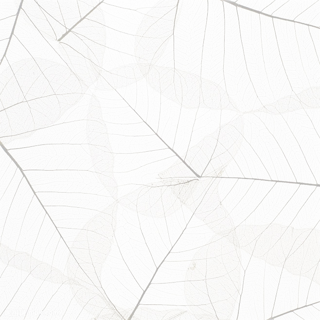 carrie7758的個(gè)人主頁（背景預(yù)覽） - 主頁背景設(shè)置 - 站酷設(shè)計(jì)師carrie7758原創(chuàng)素材 - 站酷ZCOOL