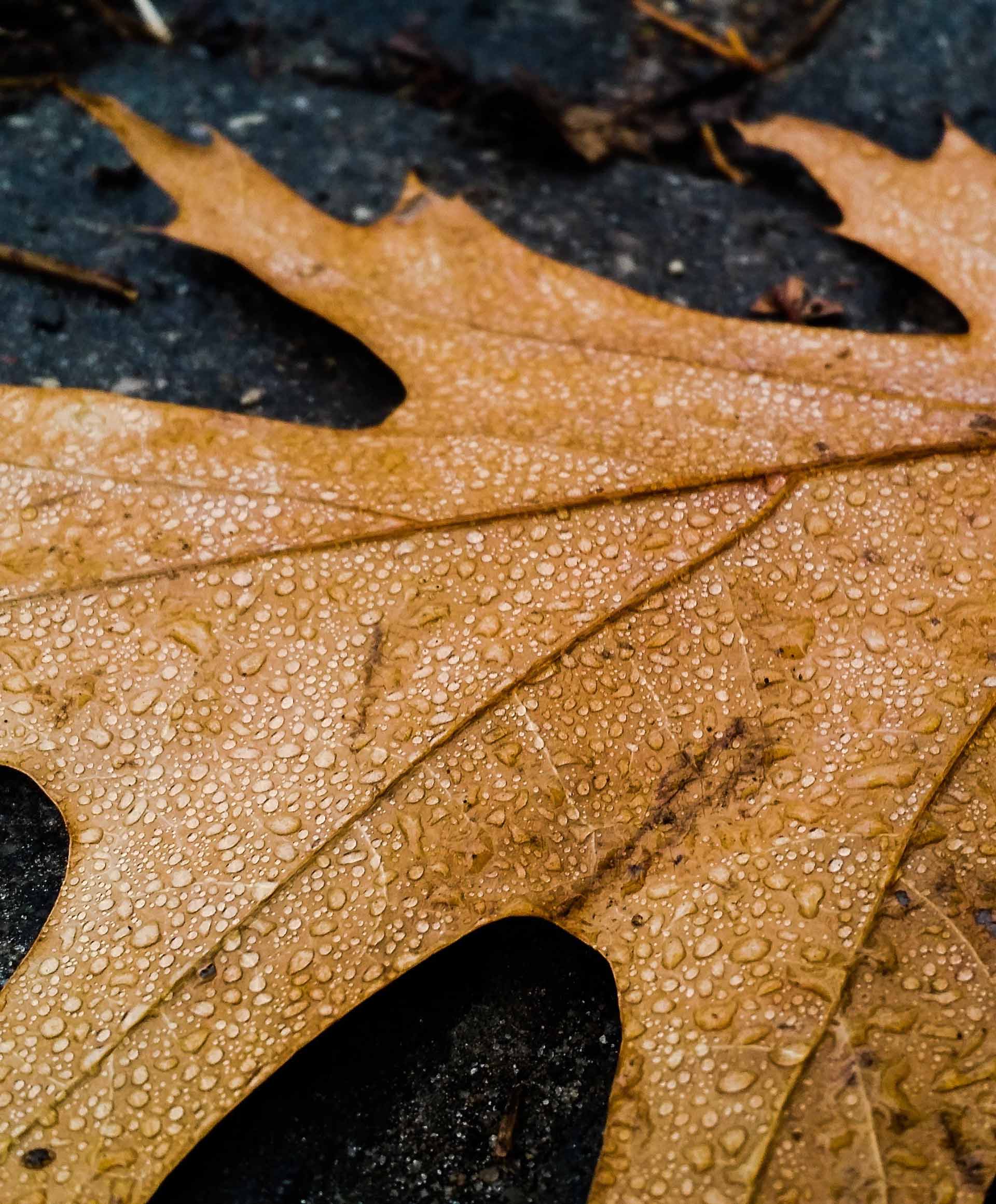 Zhang_無忌的個(gè)人主頁（背景預(yù)覽） - 主頁背景設(shè)置 - 站酷設(shè)計(jì)師Zhang_無忌原創(chuàng)素材 - 站酷ZCOOL