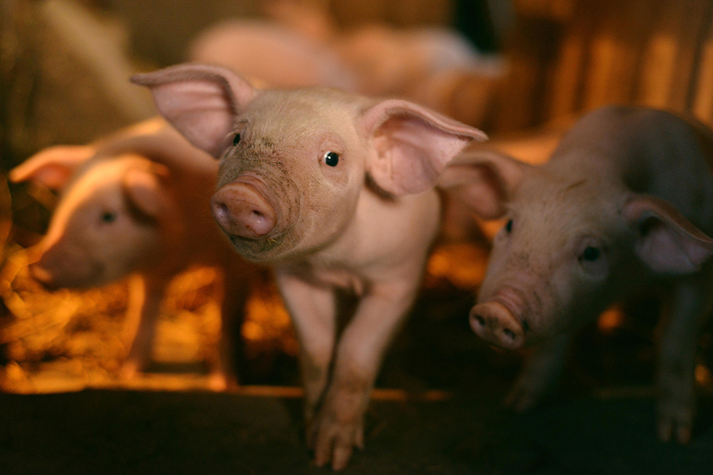 Lukev的个人主页（背景预览） - 主页背景设置 - 站酷设计师Lukev原创素材 - 站酷ZCOOL