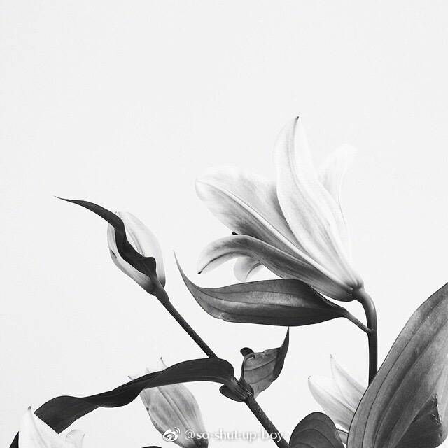 Tan9yuq1的個人主頁（背景預覽） - 主頁背景設(shè)置 - 站酷設(shè)計師Tan9yuq1原創(chuàng)素材 - 站酷ZCOOL