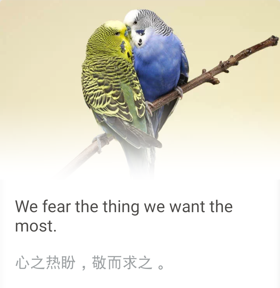 Yuri_GP的個(gè)人主頁（背景預(yù)覽） - 主頁背景設(shè)置 - 站酷設(shè)計(jì)師Yuri_GP原創(chuàng)素材 - 站酷ZCOOL