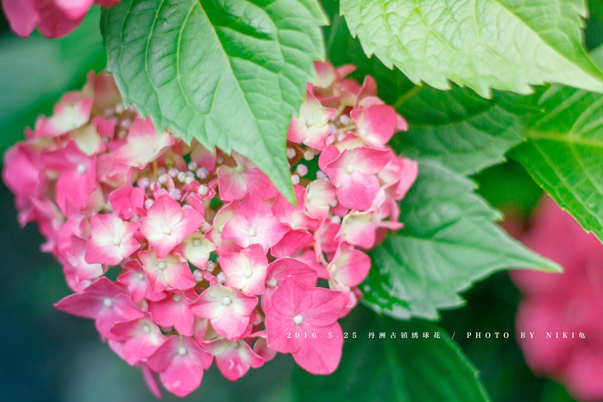 蒸汽波子VaporB的个人主页（背景预览） - 主页背景设置 - 站酷设计师蒸汽波子VaporB原创素材 - 站酷ZCOOL