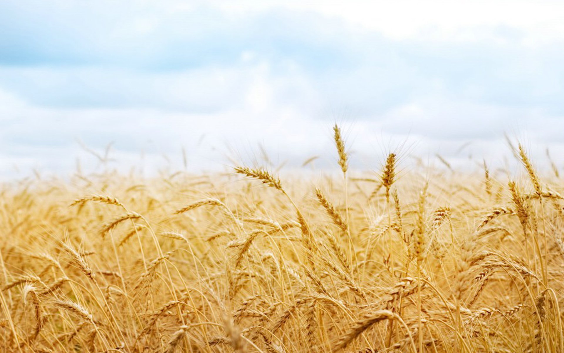 冰棒冰棒仔的个人主页（背景预览） - 主页背景设置 - 站酷设计师冰棒冰棒仔原创素材 - 站酷ZCOOL