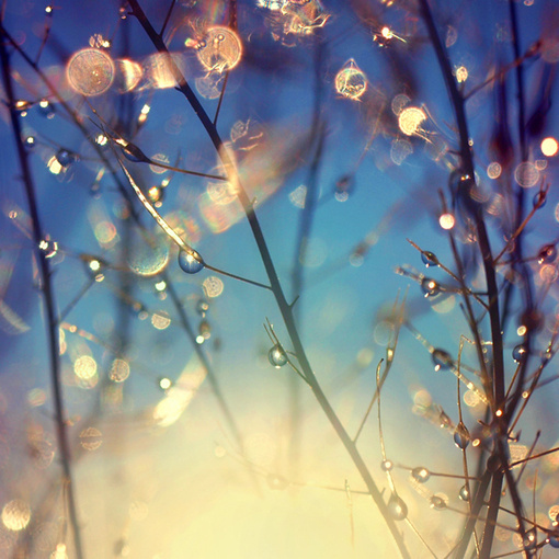 36503510的个人主页（背景预览） - 主页背景设置 - 站酷设计师36503510原创素材 - 站酷ZCOOL