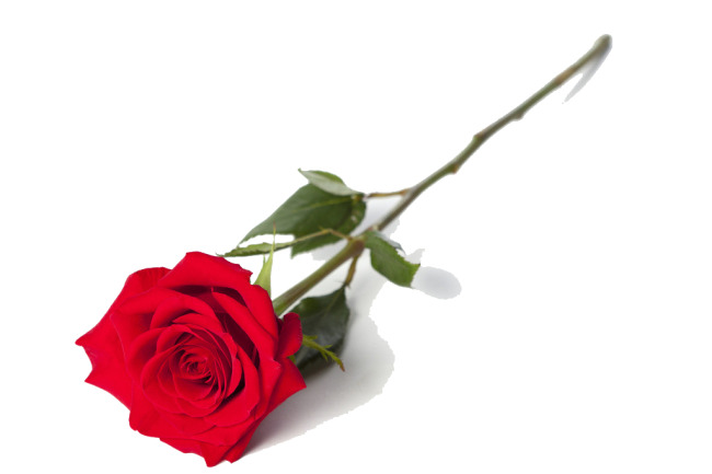 ChildeYang的個人主頁（背景預(yù)覽） - 主頁背景設(shè)置 - 站酷設(shè)計師ChildeYang原創(chuàng)素材 - 站酷ZCOOL