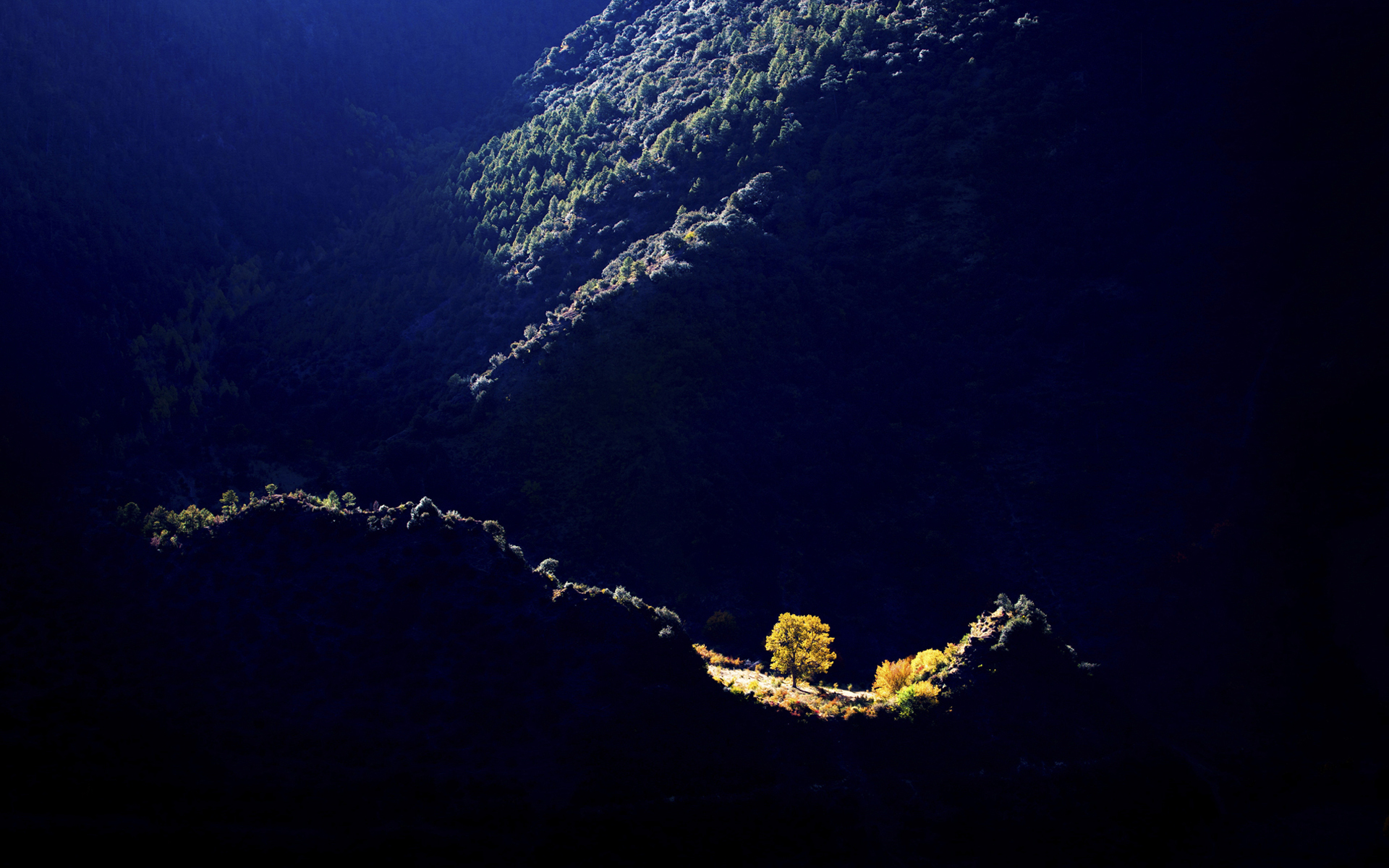 优雅的张姑娘的个人主页（背景预览） - 主页背景设置 - 站酷设计师优雅的张姑娘原创素材 - 站酷ZCOOL