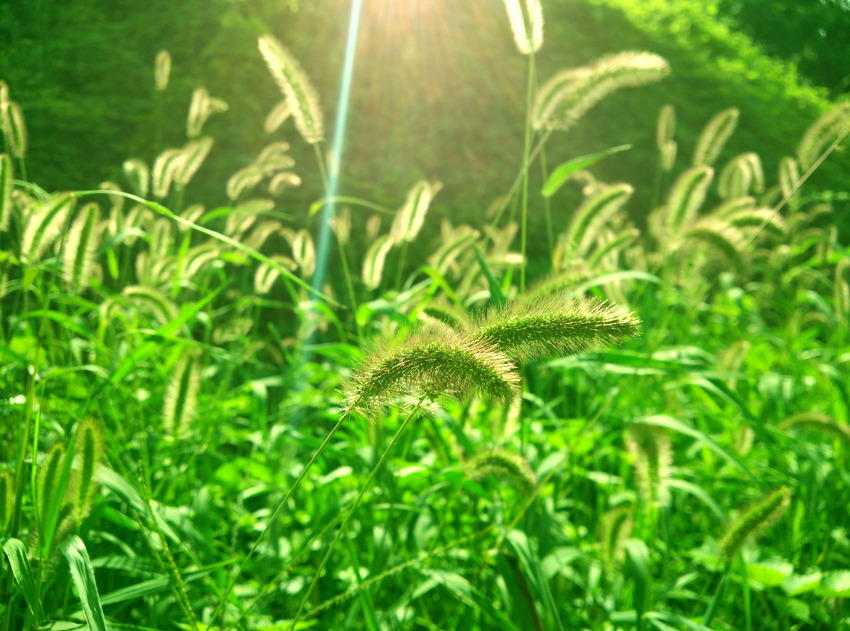查查木何的个人主页（背景预览） - 主页背景设置 - 站酷设计师查查木何原创素材 - 站酷ZCOOL