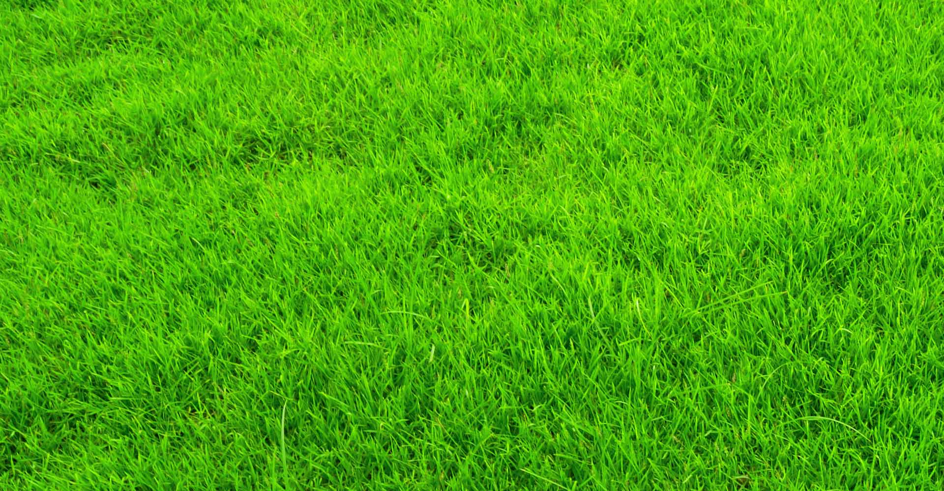 久翊的个人主页（背景预览） - 主页背景设置 - 站酷设计师久翊原创素材 - 站酷ZCOOL