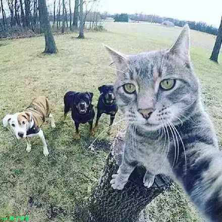 firework_wen的個人主頁（背景預(yù)覽） - 主頁背景設(shè)置 - 站酷設(shè)計師firework_wen原創(chuàng)素材 - 站酷ZCOOL