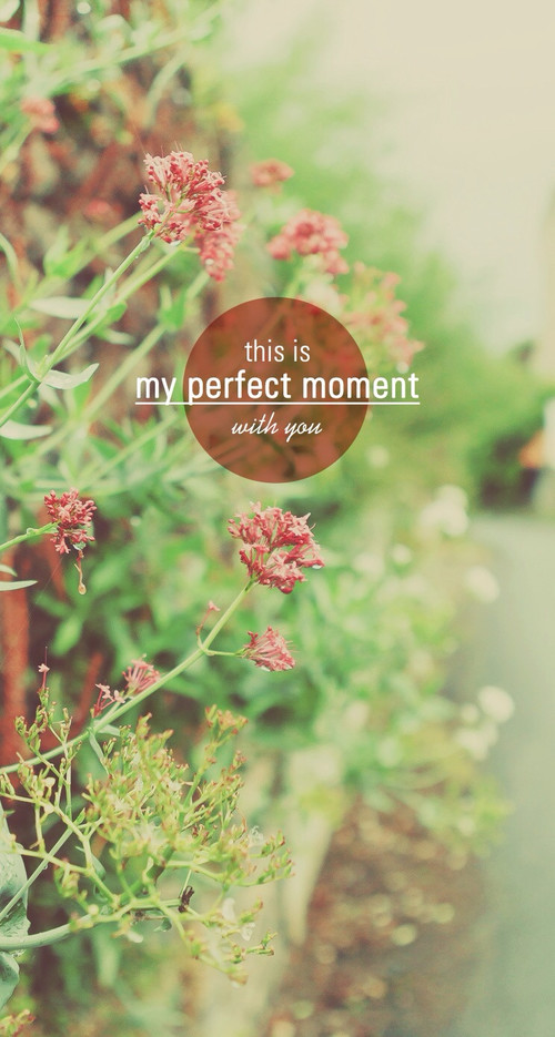 蚊小盛的个人主页（背景预览） - 主页背景设置 - 站酷设计师蚊小盛原创素材 - 站酷ZCOOL