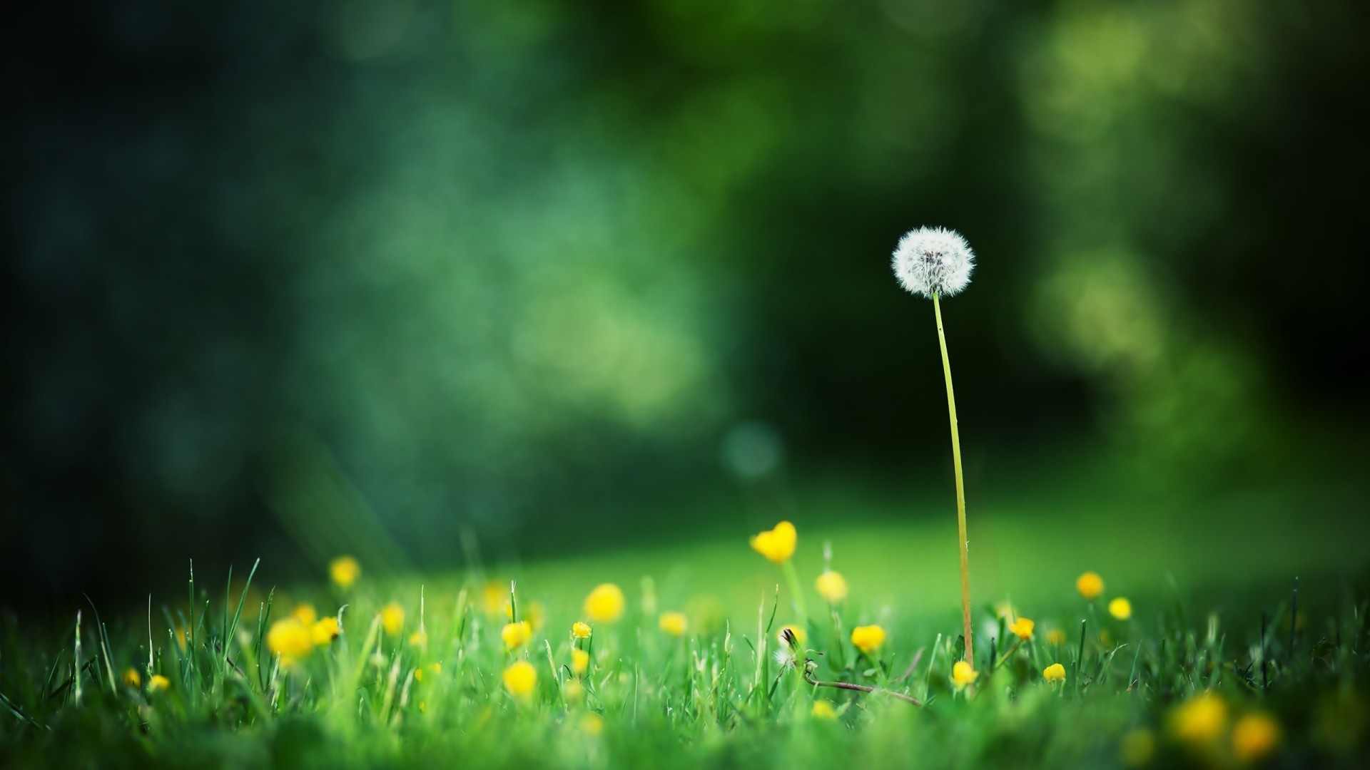 兔不二的個人主頁（背景預(yù)覽） - 主頁背景設(shè)置 - 站酷設(shè)計師兔不二原創(chuàng)素材 - 站酷ZCOOL