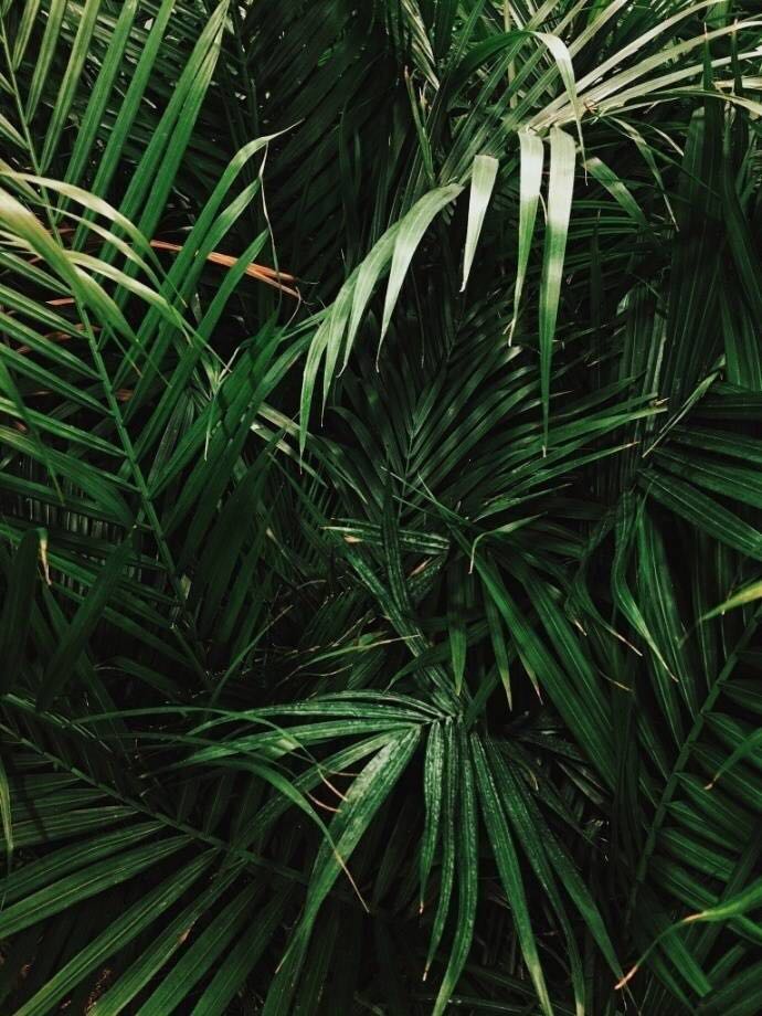 江月芒果的个人主页（背景预览） - 主页背景设置 - 站酷设计师江月芒果原创素材 - 站酷ZCOOL