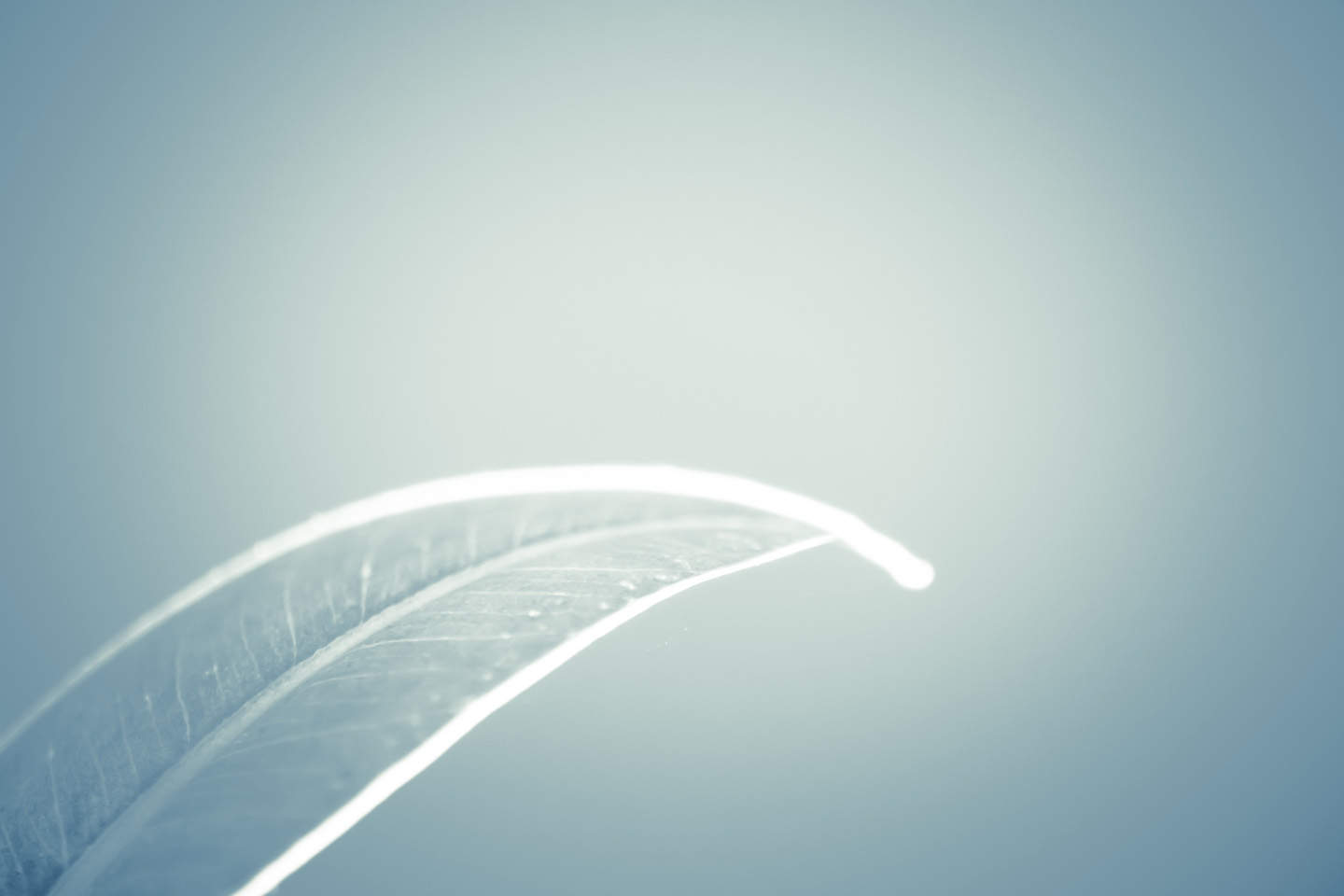 小易術(shù)家的個(gè)人主頁（背景預(yù)覽） - 主頁背景設(shè)置 - 站酷設(shè)計(jì)師小易術(shù)家原創(chuàng)素材 - 站酷ZCOOL