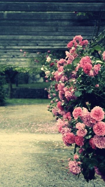 RR心的个人主页（背景预览） - 主页背景设置 - 站酷设计师RR心原创素材 - 站酷ZCOOL