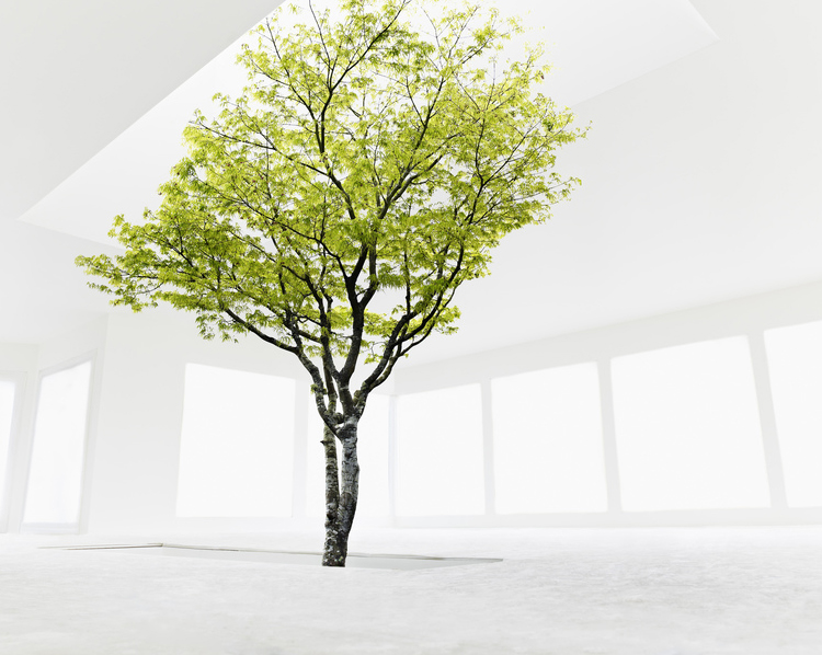 紫墨夕阳的个人主页（背景预览） - 主页背景设置 - 站酷设计师紫墨夕阳原创素材 - 站酷ZCOOL