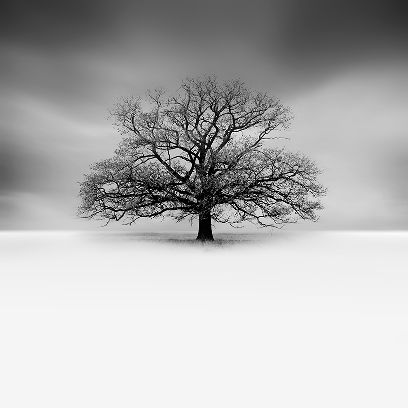 大鑫子的个人主页（背景预览） - 主页背景设置 - 站酷设计师大鑫子原创素材 - 站酷ZCOOL