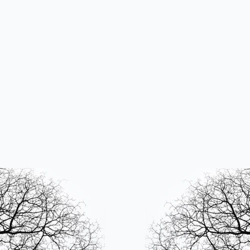 春懷秋思的個(gè)人主頁（背景預(yù)覽） - 主頁背景設(shè)置 - 站酷設(shè)計(jì)師春懷秋思原創(chuàng)素材 - 站酷ZCOOL