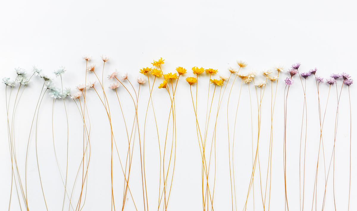 丹與安妮的個人主頁（背景預(yù)覽） - 主頁背景設(shè)置 - 站酷設(shè)計(jì)師丹與安妮原創(chuàng)素材 - 站酷ZCOOL