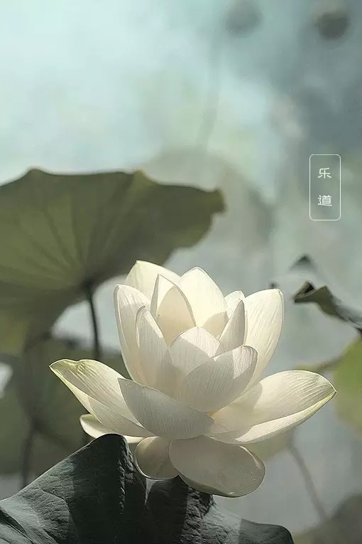 panzhaoyue的个人主页（背景预览） - 主页背景设置 - 站酷设计师panzhaoyue原创素材 - 站酷ZCOOL