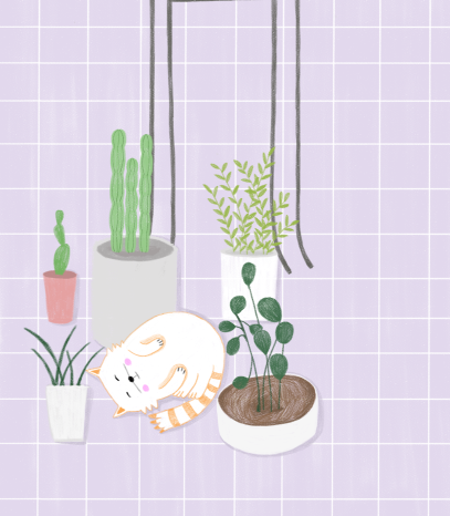 Mian6的个人主页（背景预览） - 主页背景设置 - 站酷设计师Mian6原创素材 - 站酷ZCOOL