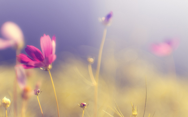 微风smile的个人主页（背景预览） - 主页背景设置 - 站酷设计师微风smile原创素材 - 站酷ZCOOL