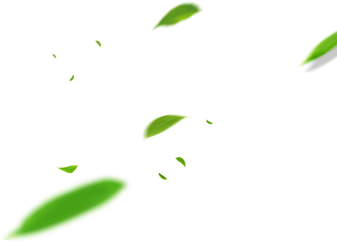 不上房的猫的个人主页（背景预览） - 主页背景设置 - 站酷设计师不上房的猫原创素材 - 站酷ZCOOL