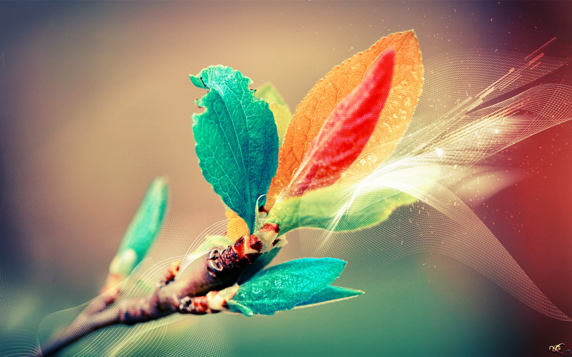 No_Zero的個人主頁（背景預覽） - 主頁背景設置 - 站酷設計師No_Zero原創(chuàng)素材 - 站酷ZCOOL