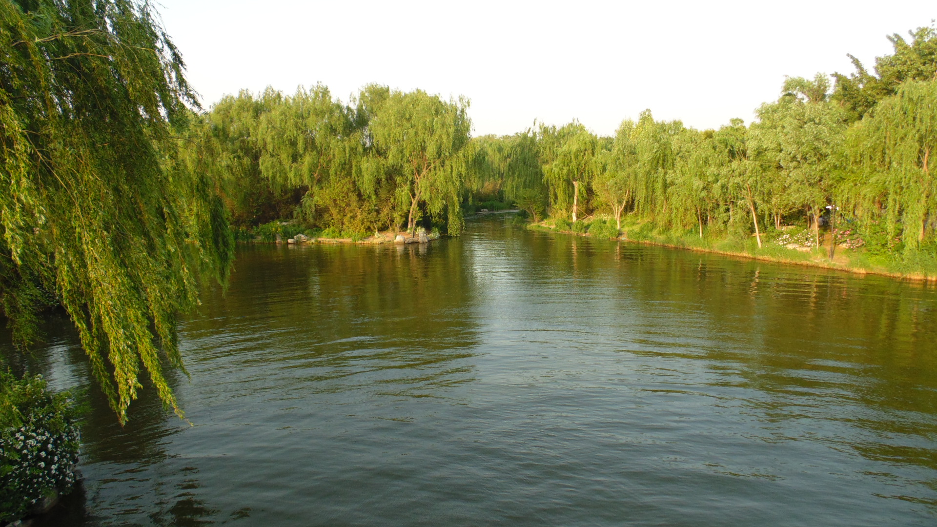 子聿若何的個(gè)人主頁（背景預(yù)覽） - 主頁背景設(shè)置 - 站酷設(shè)計(jì)師子聿若何原創(chuàng)素材 - 站酷ZCOOL