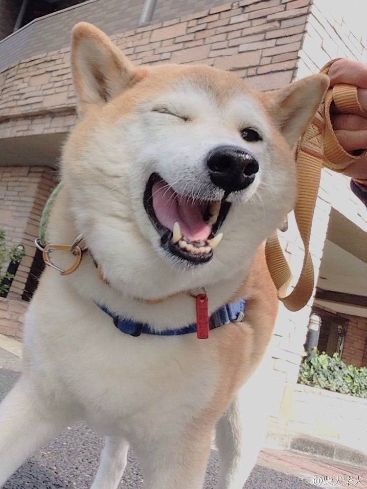 再看就吃掉你的个人主页（背景预览） - 主页背景设置 - 站酷设计师再看就吃掉你原创素材 - 站酷ZCOOL