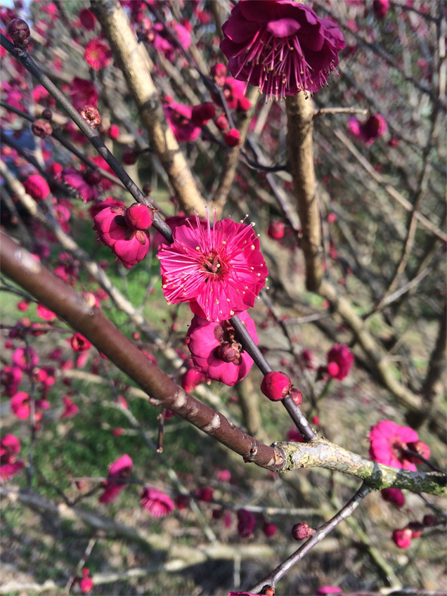 靠譜的半夏的個人主頁（背景預(yù)覽） - 主頁背景設(shè)置 - 站酷設(shè)計師靠譜的半夏原創(chuàng)素材 - 站酷ZCOOL
