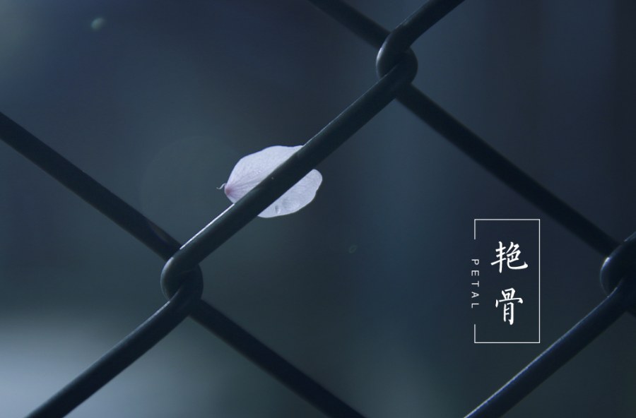 三个圆圆的个人主页（背景预览） - 主页背景设置 - 站酷设计师三个圆圆原创素材 - 站酷ZCOOL