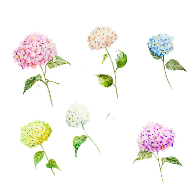 小貓頭鷹的個(gè)人主頁（背景預(yù)覽） - 主頁背景設(shè)置 - 站酷設(shè)計(jì)師小貓頭鷹原創(chuàng)素材 - 站酷ZCOOL