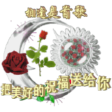 弦上春雪的个人主页（背景预览） - 主页背景设置 - 站酷设计师弦上春雪原创素材 - 站酷ZCOOL