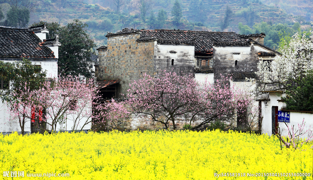 jiachennnn的个人主页（背景预览） - 主页背景设置 - 站酷设计师jiachennnn原创素材 - 站酷ZCOOL