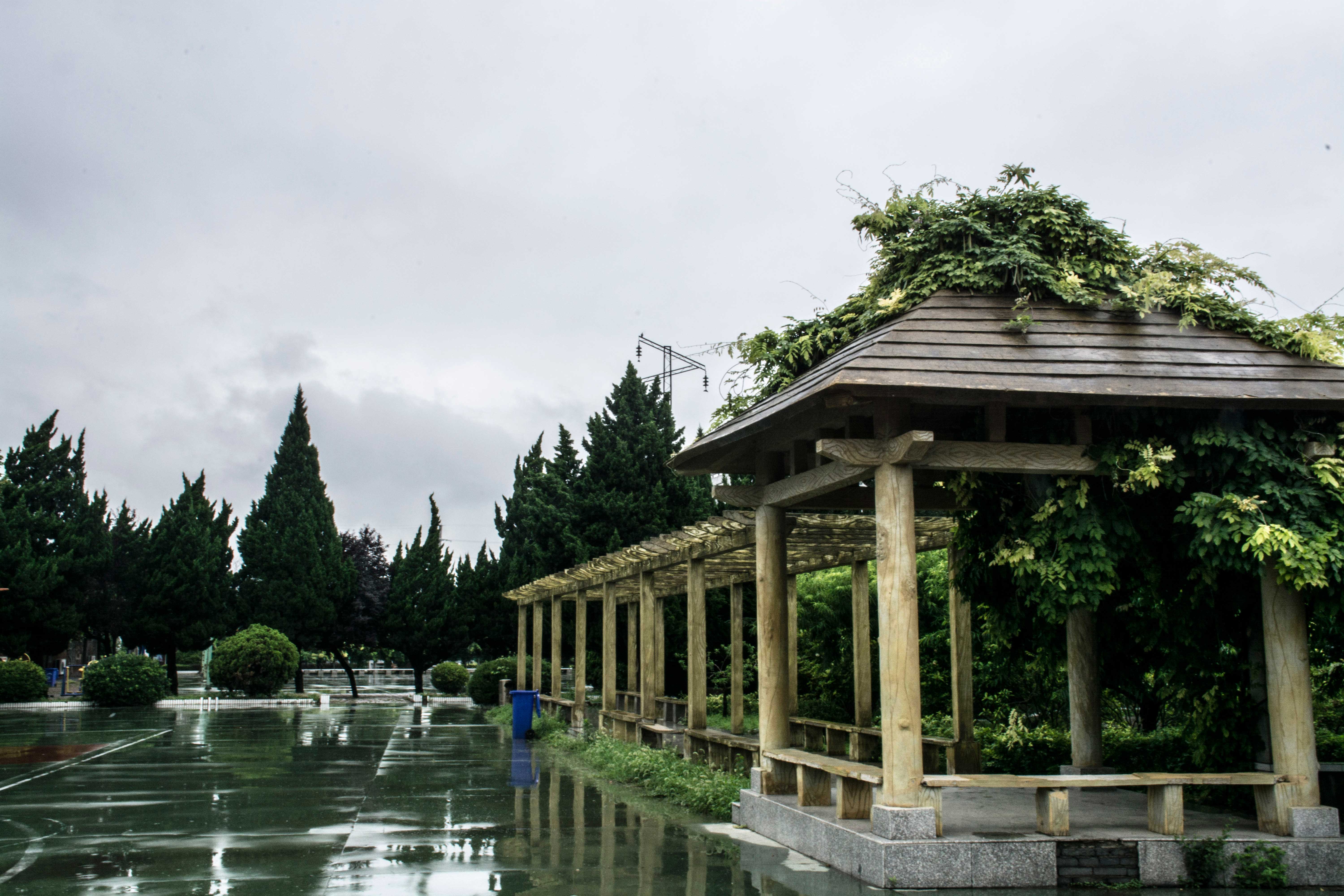 等天黑的個人主頁（背景預(yù)覽） - 主頁背景設(shè)置 - 站酷設(shè)計師等天黑原創(chuàng)素材 - 站酷ZCOOL