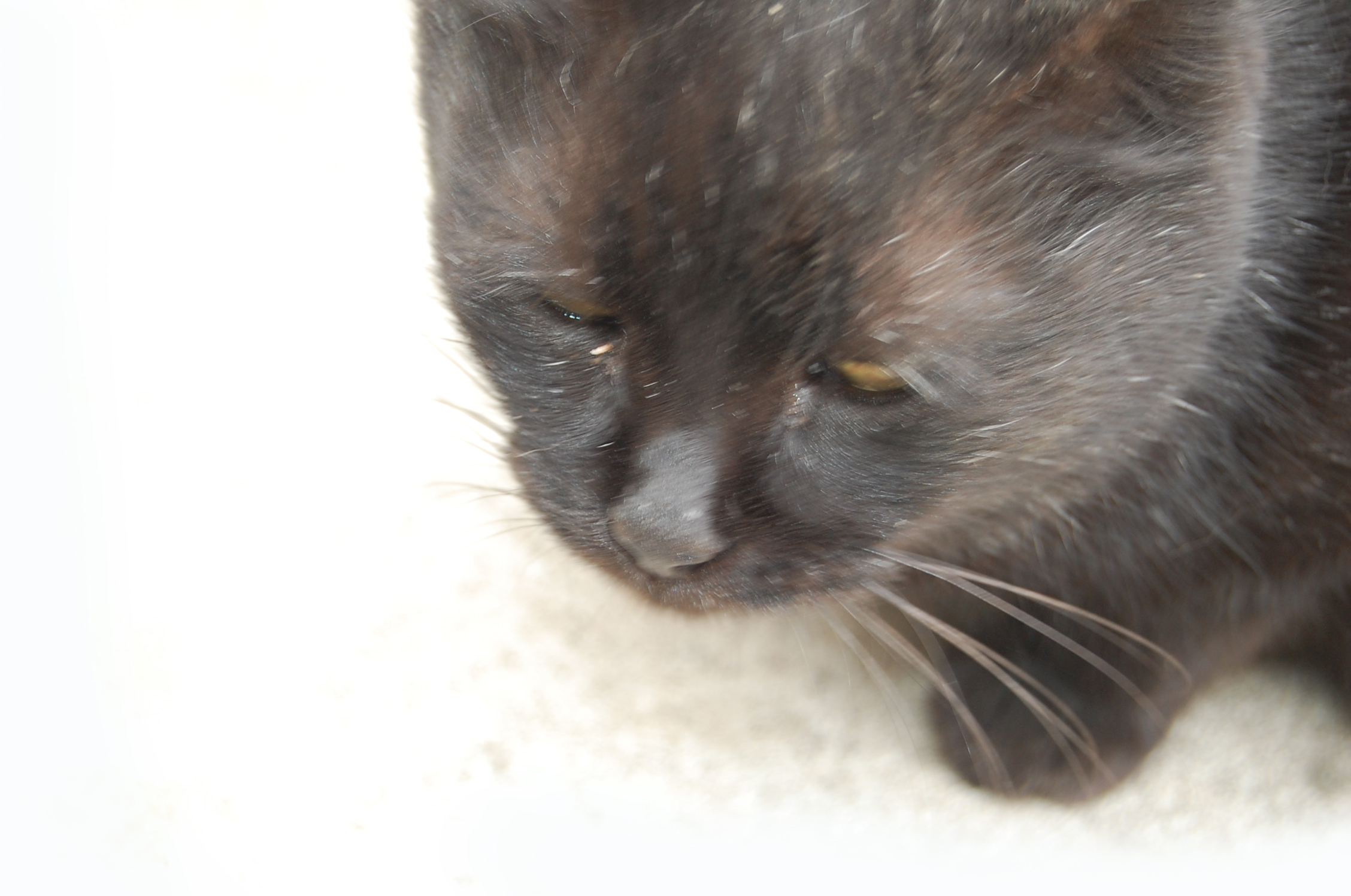 饭饭的爸的个人主页（背景预览） - 主页背景设置 - 站酷设计师饭饭的爸原创素材 - 站酷ZCOOL