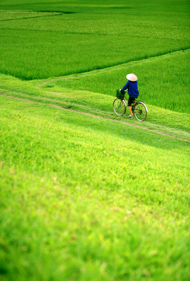 蜜奥的个人主页（背景预览） - 主页背景设置 - 站酷设计师蜜奥原创素材 - 站酷ZCOOL