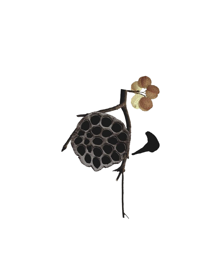 桃杰杰的个人主页（背景预览） - 主页背景设置 - 站酷设计师桃杰杰原创素材 - 站酷ZCOOL